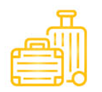 baggageBeltCollectionDetails